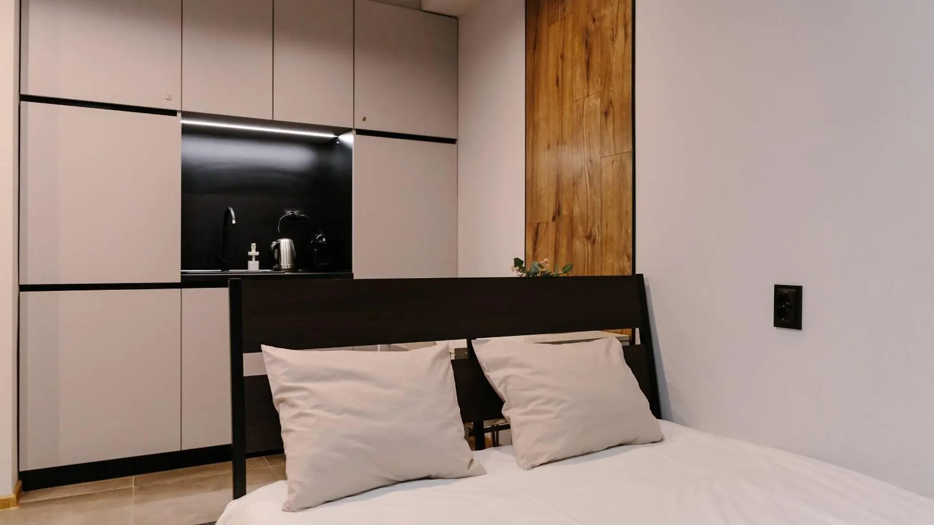 Vinyl Studio Apartment סופיה
