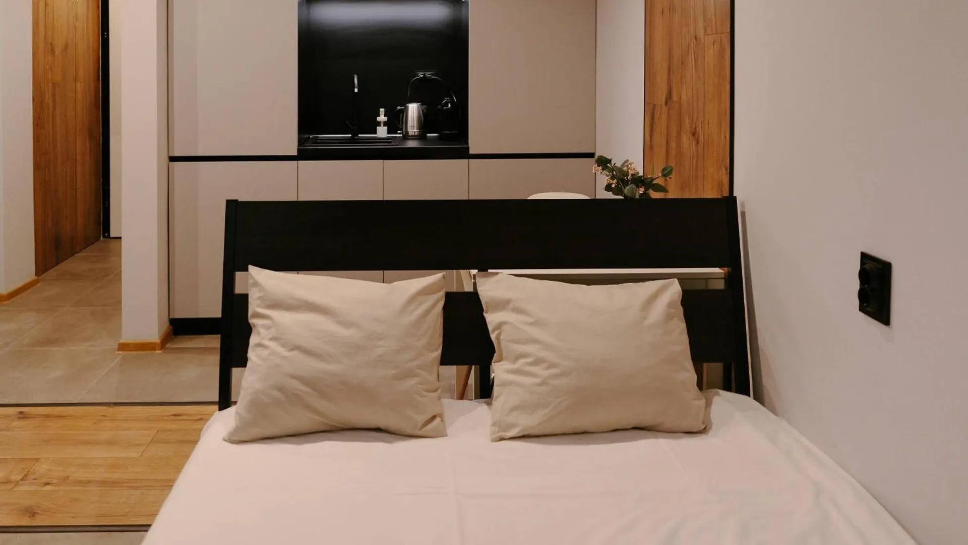 Vinyl Studio Apartment סופיה 0*,